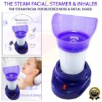 Facial Steamer - Image 2